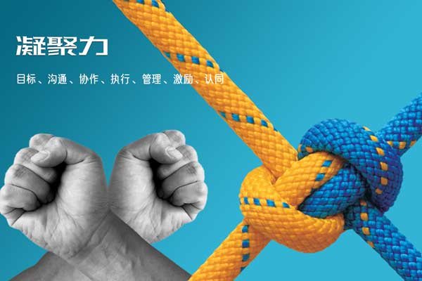 團(tuán)隊(duì)凝聚力拓展